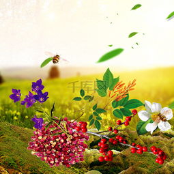 草地植物花卉食品促銷主圖設計 千庫網免費PSD素材推薦